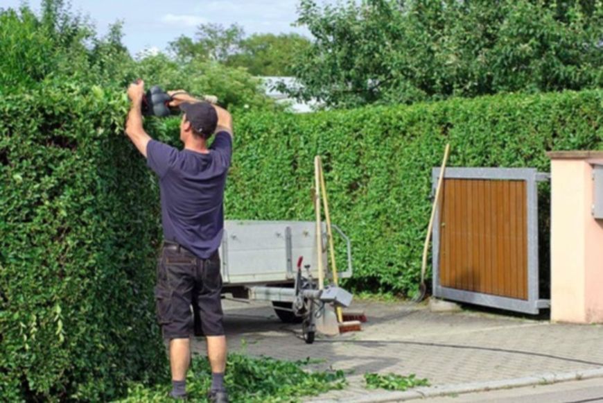 Steuerabzüge blühen auch im Garten - Artikel - kgeld.ch